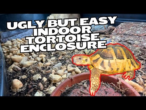 Easy, But Crappy Indoor Hermanns Tortoise Enclosure