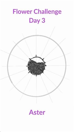 Aster Flower Timelapse – Day 3 of 30 Day Challenge! 🌸