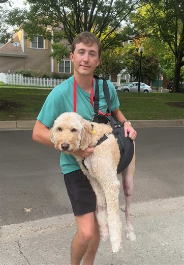 Miller’s CCL Recovery Journey: Steps to Healing