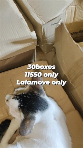 Jessica De Leon on Reels