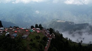 Hen, Farm, Animal, Rural