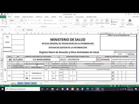 FORMATO HIS MINSA 2020