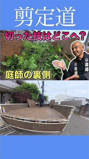 《枝葉の片付け》庭師の裏側 枝葉はチップにして堆肥になります #剪定道 #枝葉処分 #庭作業 #処分場 #堆肥 #チップ #運び方