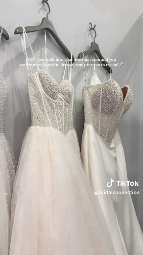 Experience the Dream Wedding Dress Fitting