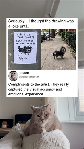 The lost dog drawing was surprisingly accurate