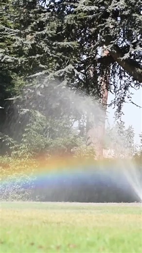 Are you watering your turf efficiently? Advanced wetting agents improve water absorption and reduce waste. Save water, boost turf health, and protect the environment. #greenkeeper #watercourses