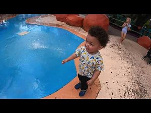 Zoo Tampa Rides and Water Park