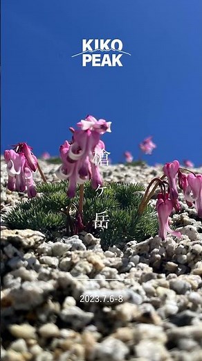 槍ヶ岳 日本百名山を北アルプス燕岳と大天井岳の表銀座縦走テント泊登山 2023.7.6-8