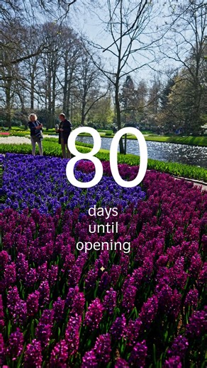 2025 is almost over, and the opening of Keukenhof is getting closer. In just 80 days, we hope to welcome you! ✨ | Visit Keukenhof