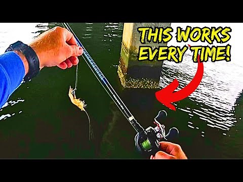 The EASIEST Way to Catch Sheepshead! (Catch, Clean, Cook) Ultimate Smoked Sheepshead Dip!