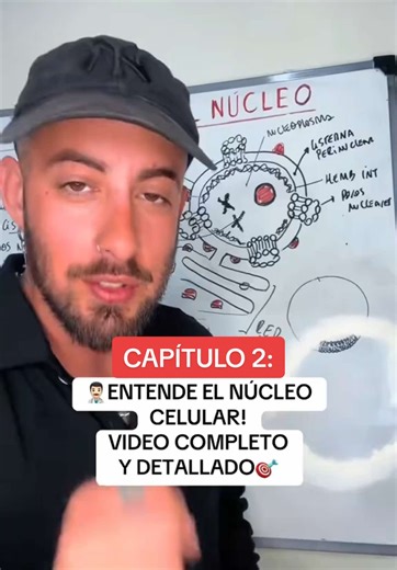 Entiende el Núcleo Celular: Video Completo y Detallado