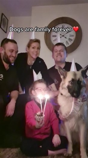 Dogs are family forever ❤️ #dogsoftiktok #birthdaygirl #fyp #foryoupage #familytiktok 🥰