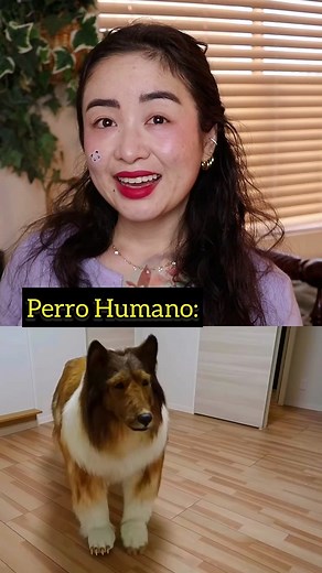 Perro humano ????