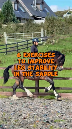 𝑮𝒀𝑴𝑷𝑶𝑵𝒀 on Instagram: "If your legs swing, pinch, creep up, or feel inconsistent in the saddle… these 6 exercises directly fix it 🐎💪 Not by “trying harder” — but by strengthening the muscles that actually stabilise your leg. Here’s why each one matters 👇 🧡 Split Squats ✔️ Builds single-leg strength ✔️ Mimics the leg position at the girth ✔️ Helps you stay stable in transitions & jumps 🧡 Wall Sit + Calf Raises ✔️ Trains ankle stability for deeper, steadier heels ✔️ Builds thigh endura