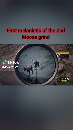 The Ultimate Guide to Hunting in The Hunter: Call of the Wild