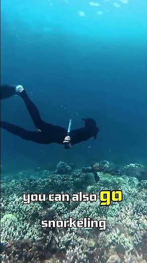 The Stunning Pink Beach of Komodo Island | A Rare Natural Wonder!