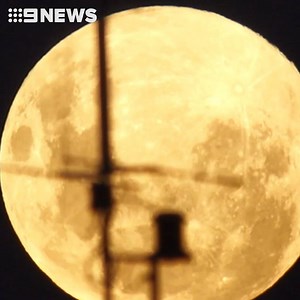 Stunning timelapse of the biggest supermoon of the year rising over Port Lincoln last night. More shots here: http://9Soci.al/vwzj30nLmrV #9News | http://9News.com.au | 9 News