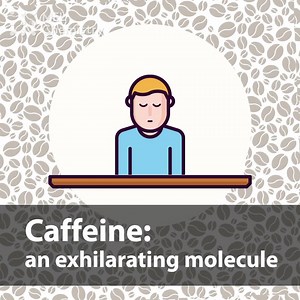 Coffeeholics, be careful For cool and safe chemistry experiments sign up to MEL Science here: https://mel.sc/sEZ/ | MEL Science