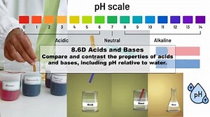 TEKS 8.6 (D) Acids and Bases