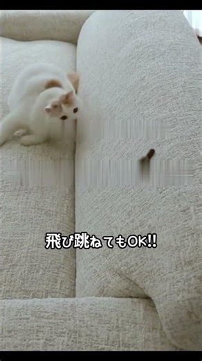 ソファがまるで新品に🔖 #掃除 #暮らしチャンネル #インテリア#主婦 #home