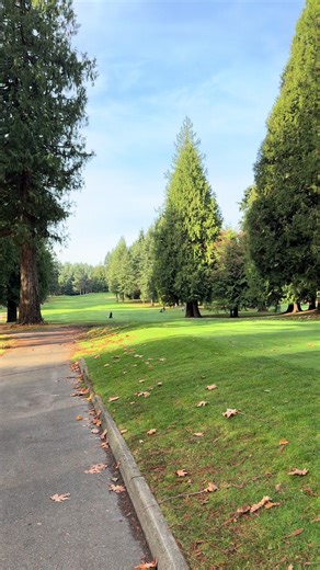 Romanticizing PNW Fall golf #golf #washingtongolf #fallgolf