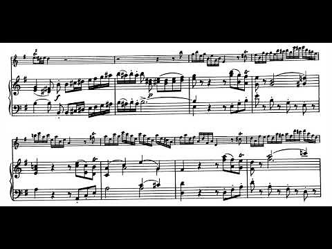 Mozart - Flute Concerto in G, 1st Mov. (piano accompaniment)