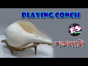 Playing Conch I Effective Sounds