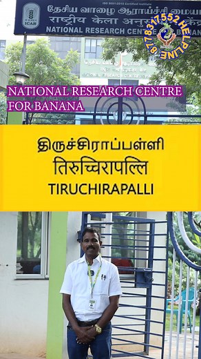 குறைந்த செலவில் அதிக லாபம் பெற😍Get more profit with less cost #1055 #shorts #shortvideo #shortsviral #facebook #instagram #youtube #twitter #tiktok #instagood #love #like #socialmedia #follow #viral #whatsapp #trending #marketing #music #google #digitalmarketing #photography #reels #insta #india #fashion #followforfollowback #socialmediamarketing #memes #business #linkedin #likeforlikes #spotify #photooftheday | பசுமை பூமி தென்னை ஆராய்ச்சி மையம்