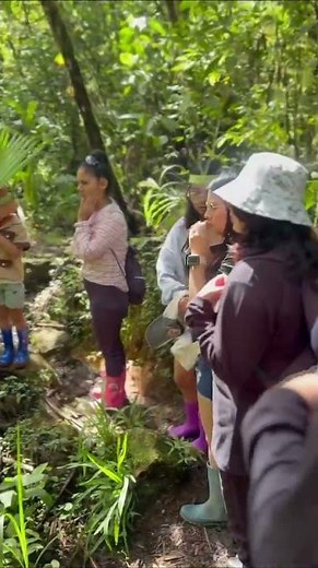 Exploring Amazon, Ecuador, Responsible Travel from Agustina C. 🌳