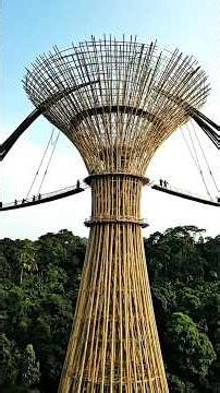 How Engineers Built an Impossible Bamboo Skybridge Resort#BambooSkybridge #Construction#Architecture