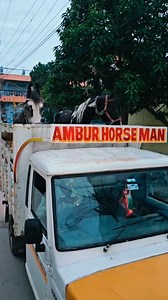 5.9K views · 604 reactions | Loaded / Delivering horses to customer  . . . . . . . . . . #abhorseman #vellore #ambur #pernambut #tirupattur #gudiyattam #chennai #vaniyambadi #madurai #pollachi #salem #erode #tirchy #tiruvannamalai #tenkasi #telangana #hyderabad #karnataka #bangalore #kolar #mysore #kerala #andhra #chittor #kuppam #palamner #reels #mood #horse | Ambur Horseman | Facebook