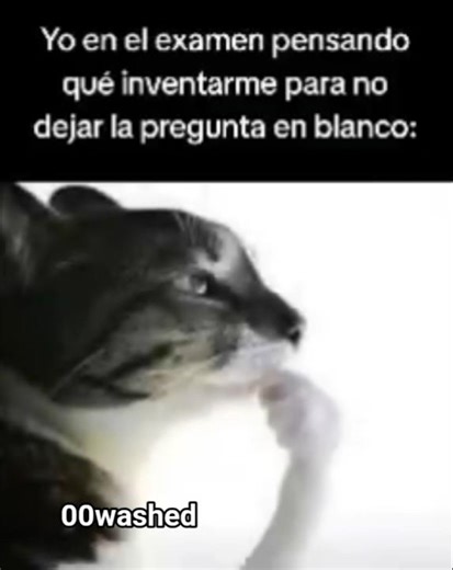 OKEY... #memes #humor #funny