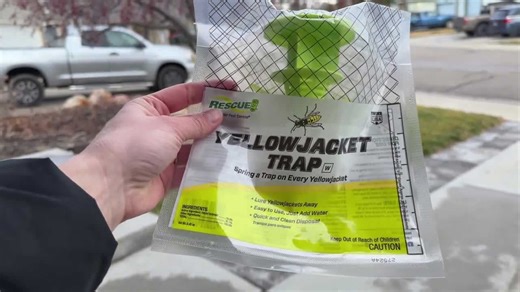 Warm winter could mean earlier blooms, more pests this spring