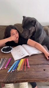 21K views · 387 reactions | Cane Corso owners know this true  - grab your Cane Corso Training book (link in comments) | Cane Corso Pets | Facebook