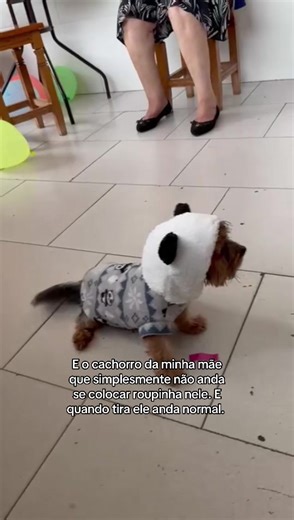 Os vídeos de Criart (@criart_encanto) com som original - Criart