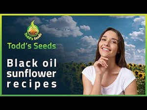 Black Oil Sunflower Recipes