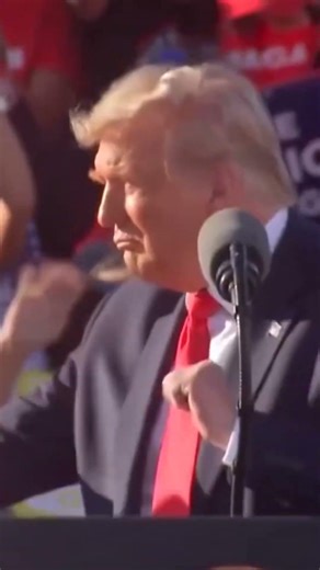 Договорничёк [вторая часть] #кашин #джингл #нейро