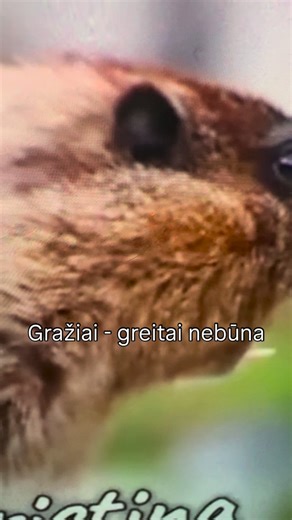 Le CoCo Kristina on Reels