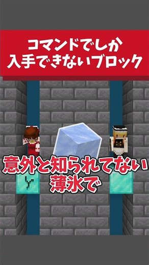 Blocks that can only be obtained through commands [Slow commentary] [Minecraft]