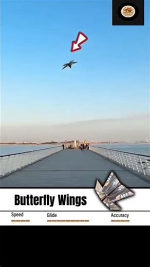 How to Make a Butterfly Wings Paper Plane that Glides Like Magic! ✨ #craft #viral #shorts