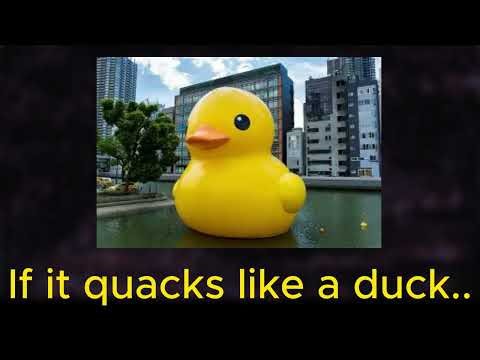 Emergent Behaviors in Particle Systems