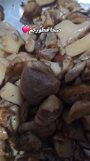 Vidéos de sifo soltani (@sifo.soltani) avec son original - sifo soltani