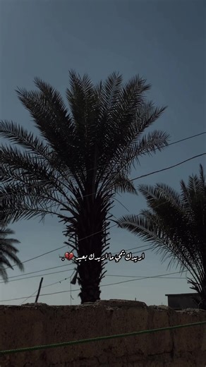 ‏اريدك يمي ما اريدك بعيد💔.#تصويري #شاشة_سوداء🖤 #موسيقى