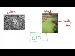 Chlorine and Water Treatment - AS Chemistry
