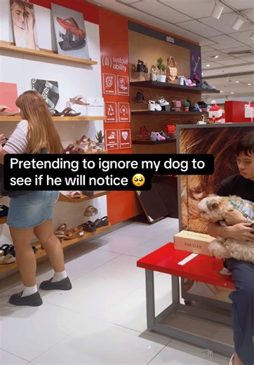 Heartwarming Dog Moments with Furmom | Sweet Dog and Human Bonding