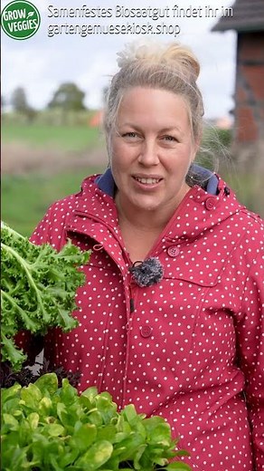 Herbst Salate anbauen #gartengemüsekiosk