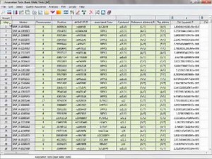 Genome-Wide SNP Association