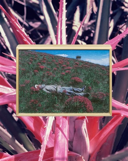 Selo Turvo on Instagram: "Edição especial de “Butsudan” está disponível! 🌸🍃🌷 Aqui, Akira Kodato repousa em um campo verdejante e florido. Emoldurado em madeira e impresso em papel de algodão, a imagem que encerra o livro é apresentada em outro formato. Com edição limitada de 30 unidades, você pode adquirir seu quadro junto com o livro ou separado. “Butsudan” de Yuji Kodato, vencedor do prêmio de Fotolivros da Revista ZUM/Instituto Moreira Salles, nos leva através de imagens costuradas, memóri