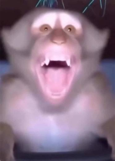 What does the helmet hide? Що приховує шолом? #hdfanclub #hd #harleydavidson #harleydavidsonmotorcycles #harley