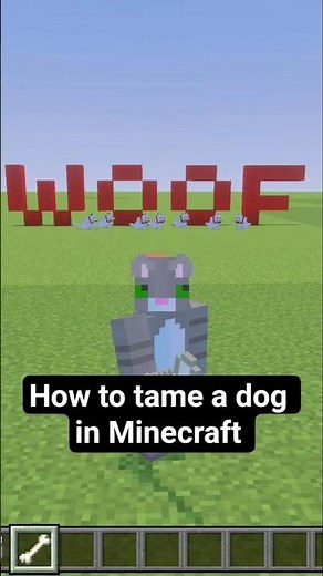 How to tame a dog in Minecraft 🐶 #minecraft